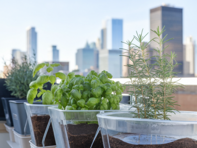 which cheap self-watering planters actually keep balcony herbs alive for two weeks without topping up